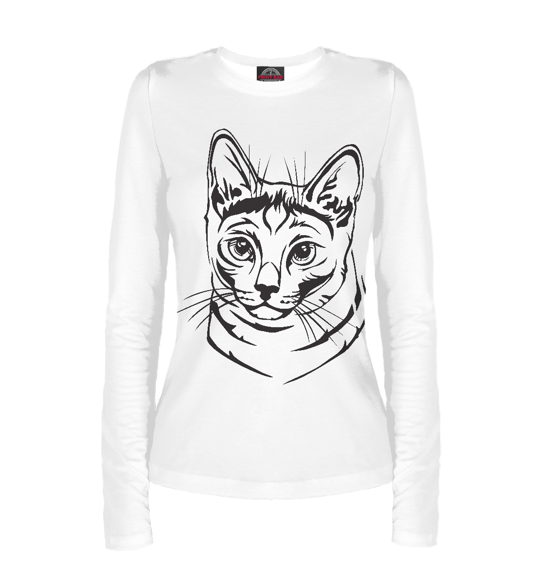 Русская голубая кошка
Русская голубая кошка