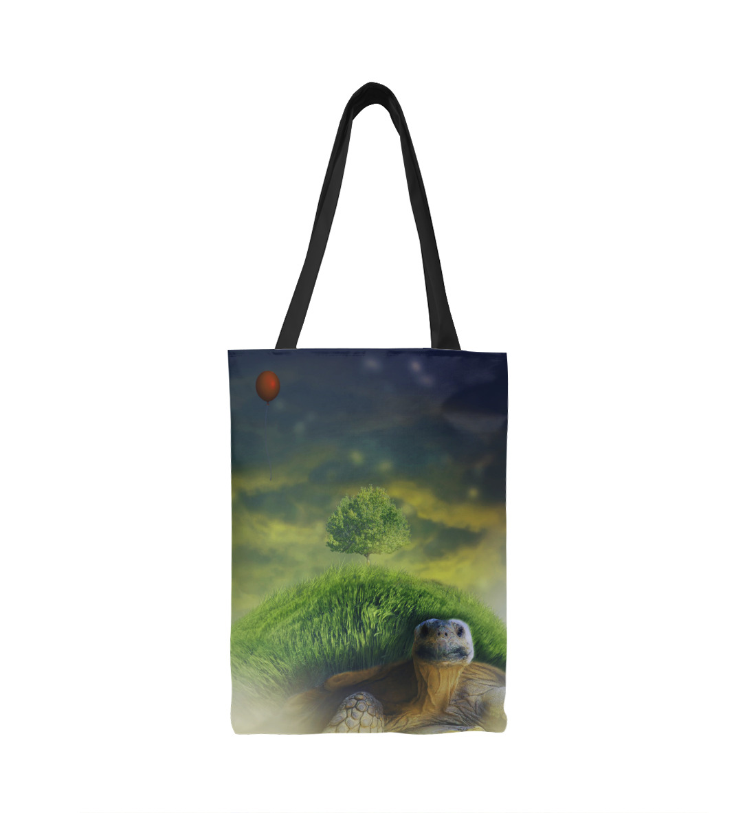 Turtle and the boy