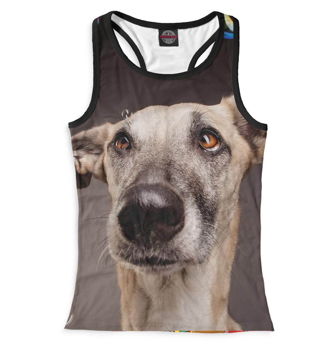 Собаки 
Собаки