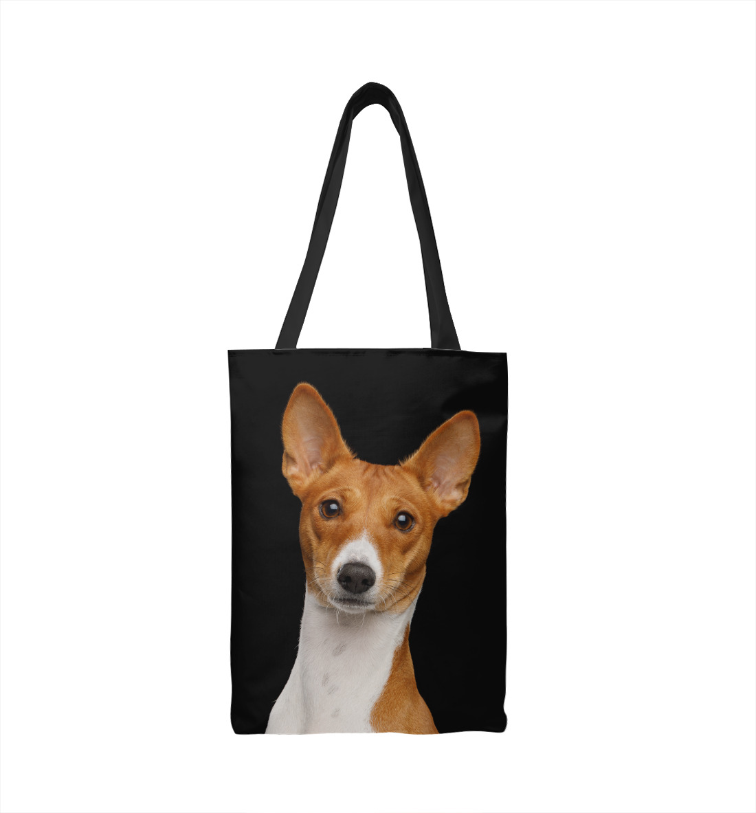 Басенджи
Басенджи