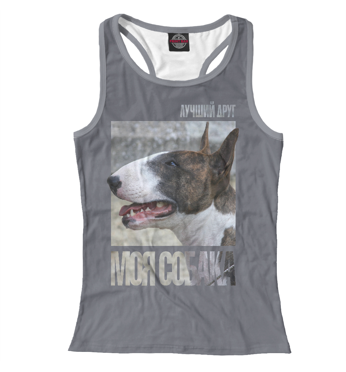 Бультерьер
Бультерьер