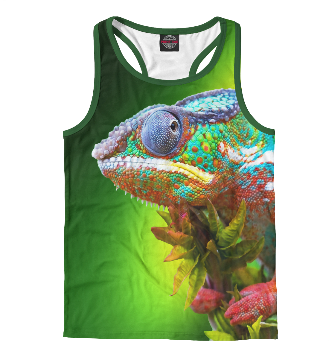 Хамелеон
Хамелеон