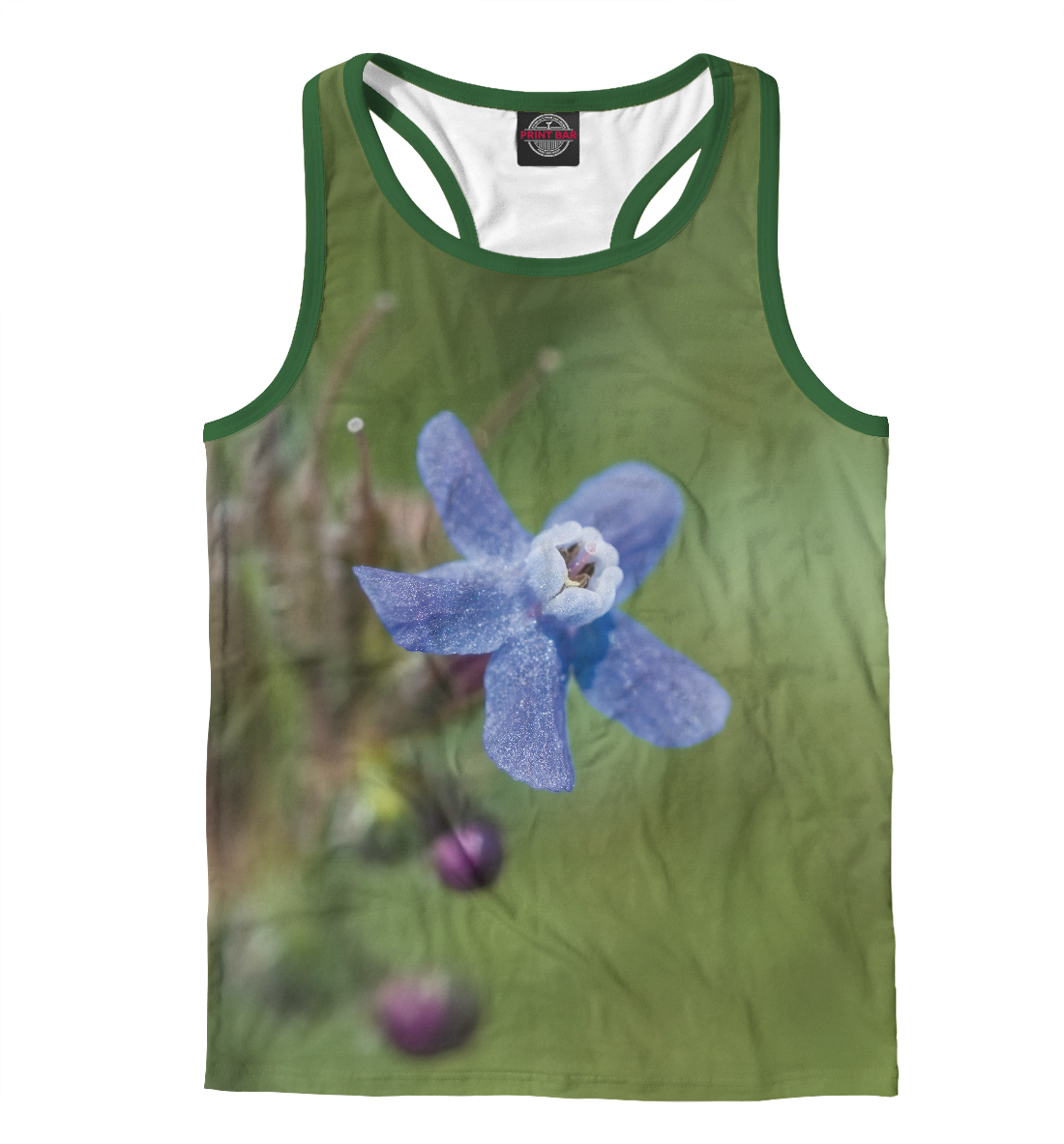 Цветок незабудка
Цветок незабудка