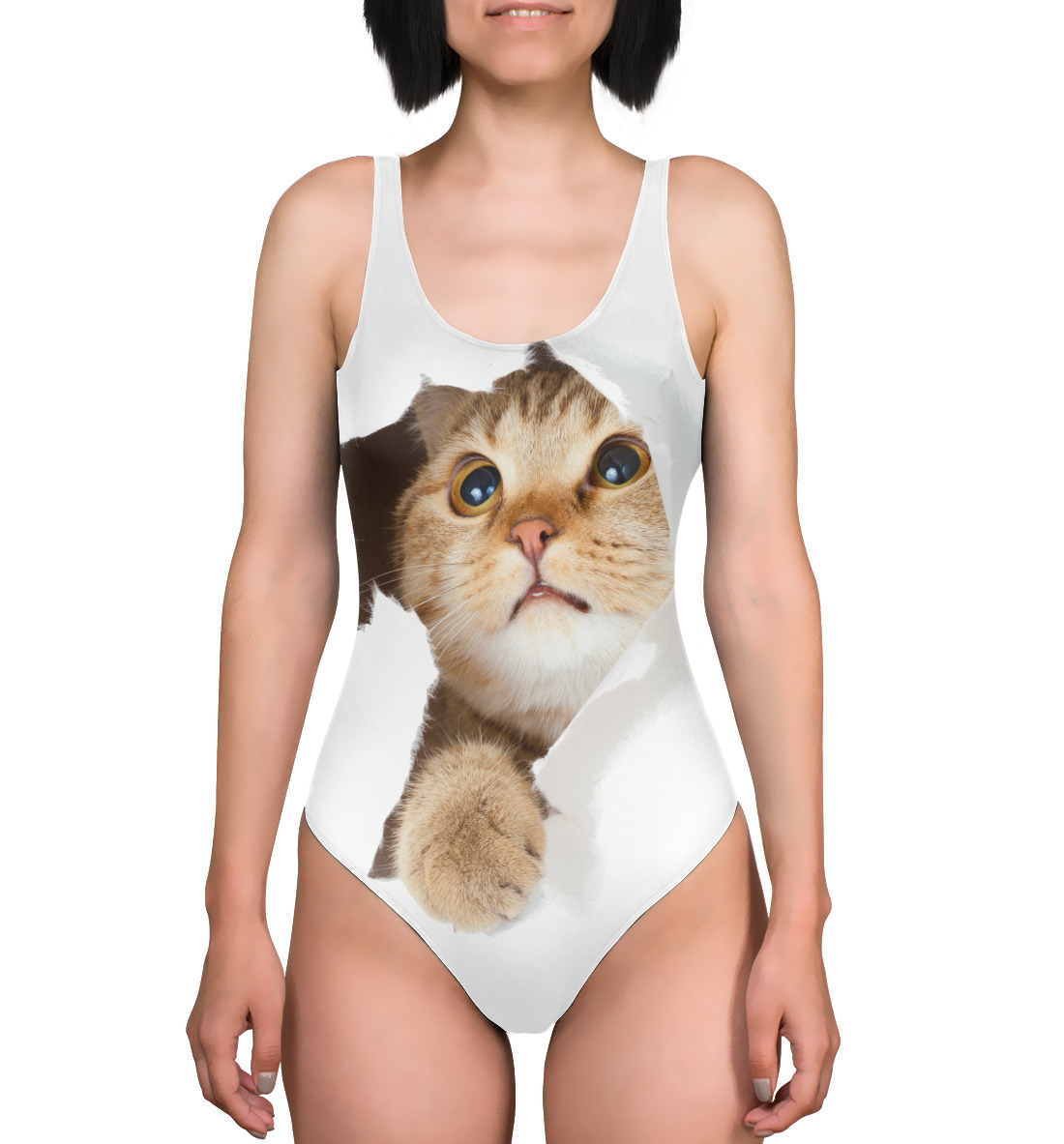 Котик