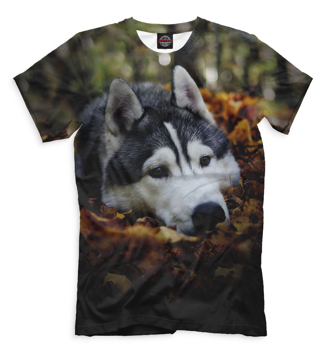 Хаски
Хаски