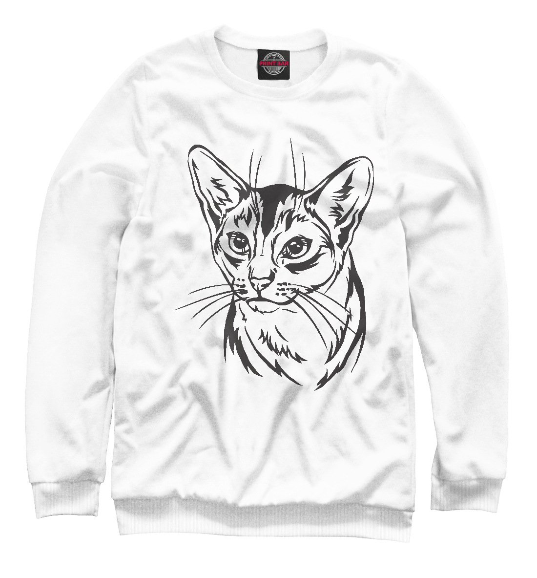 Абиссинская кошка