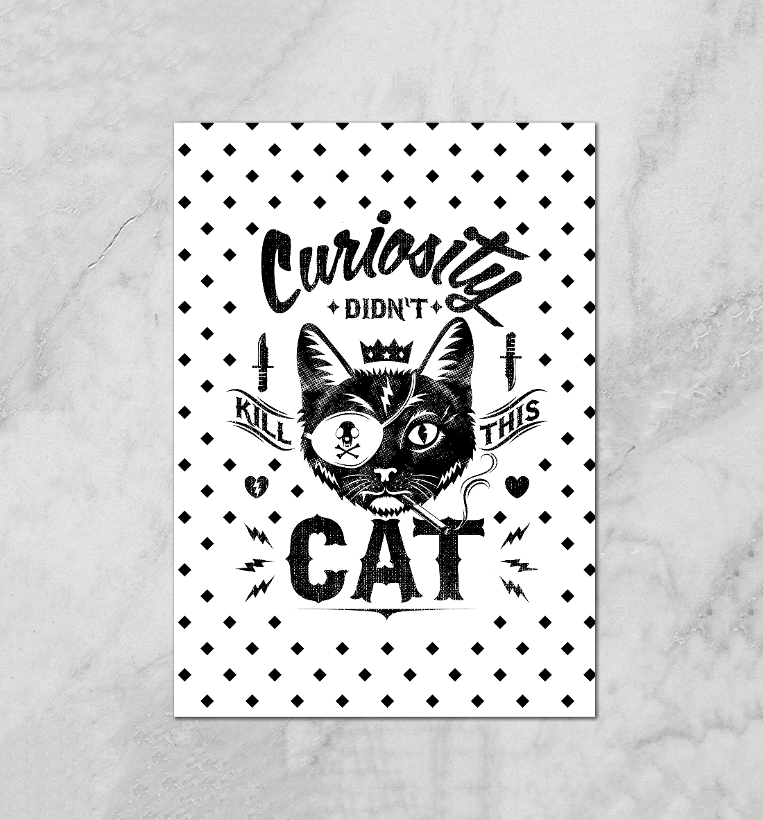 Curiosity Cat