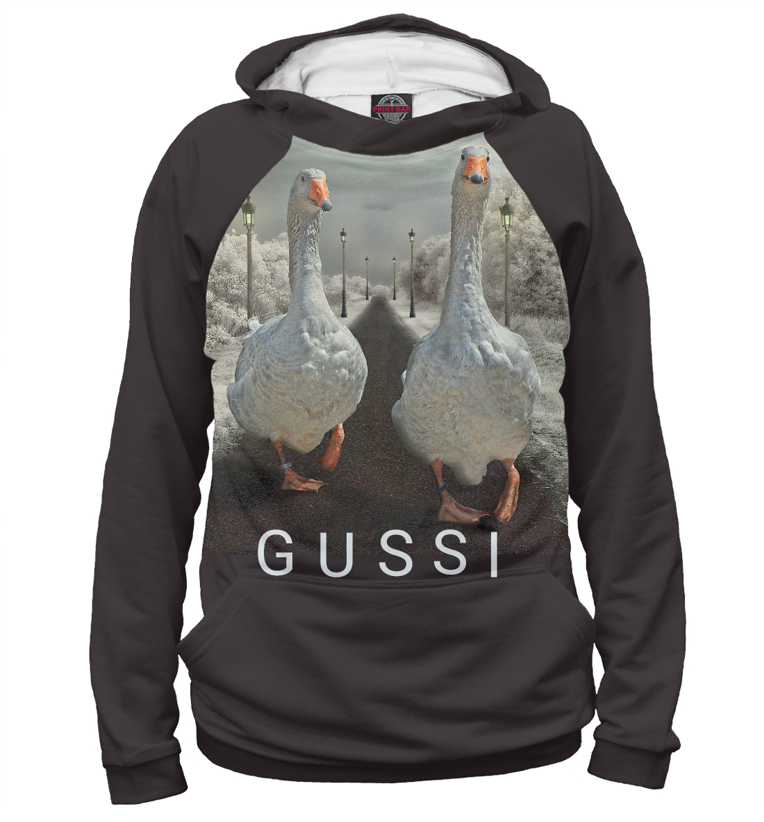 GUSSI