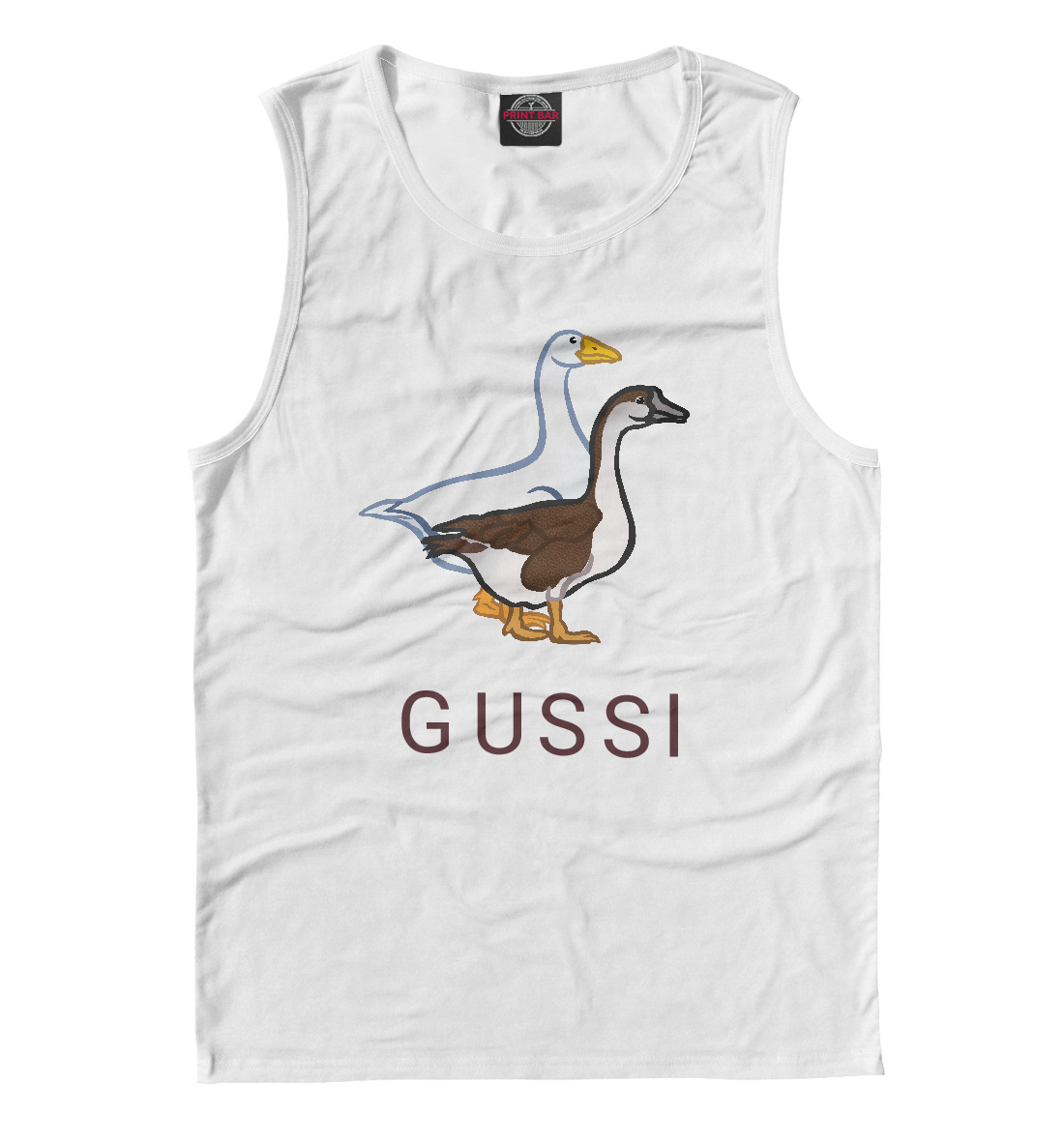 GUSSI