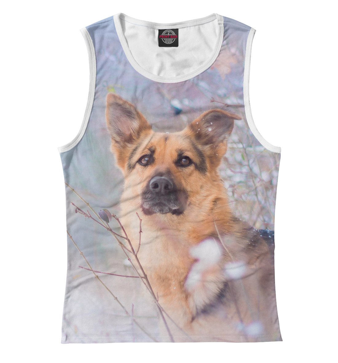 Winter dog
Winter dog