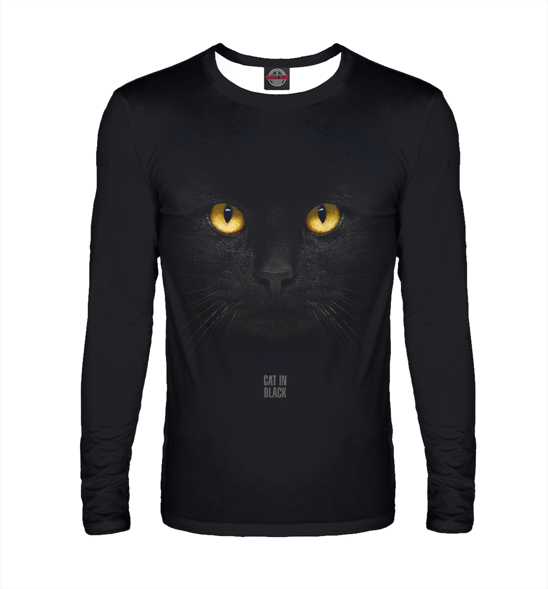 Cat In Black