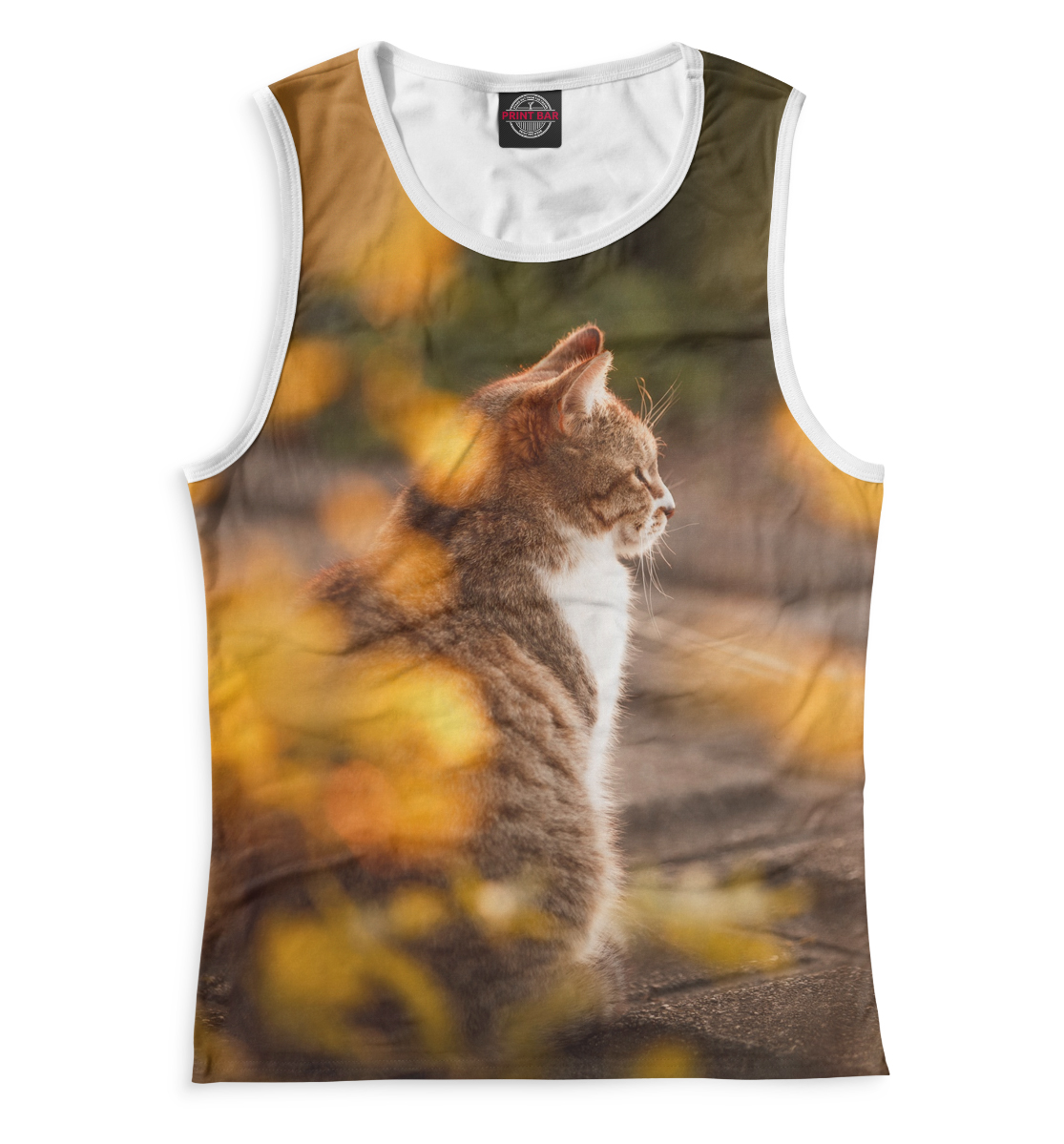 Осенний кот
Осенний кот