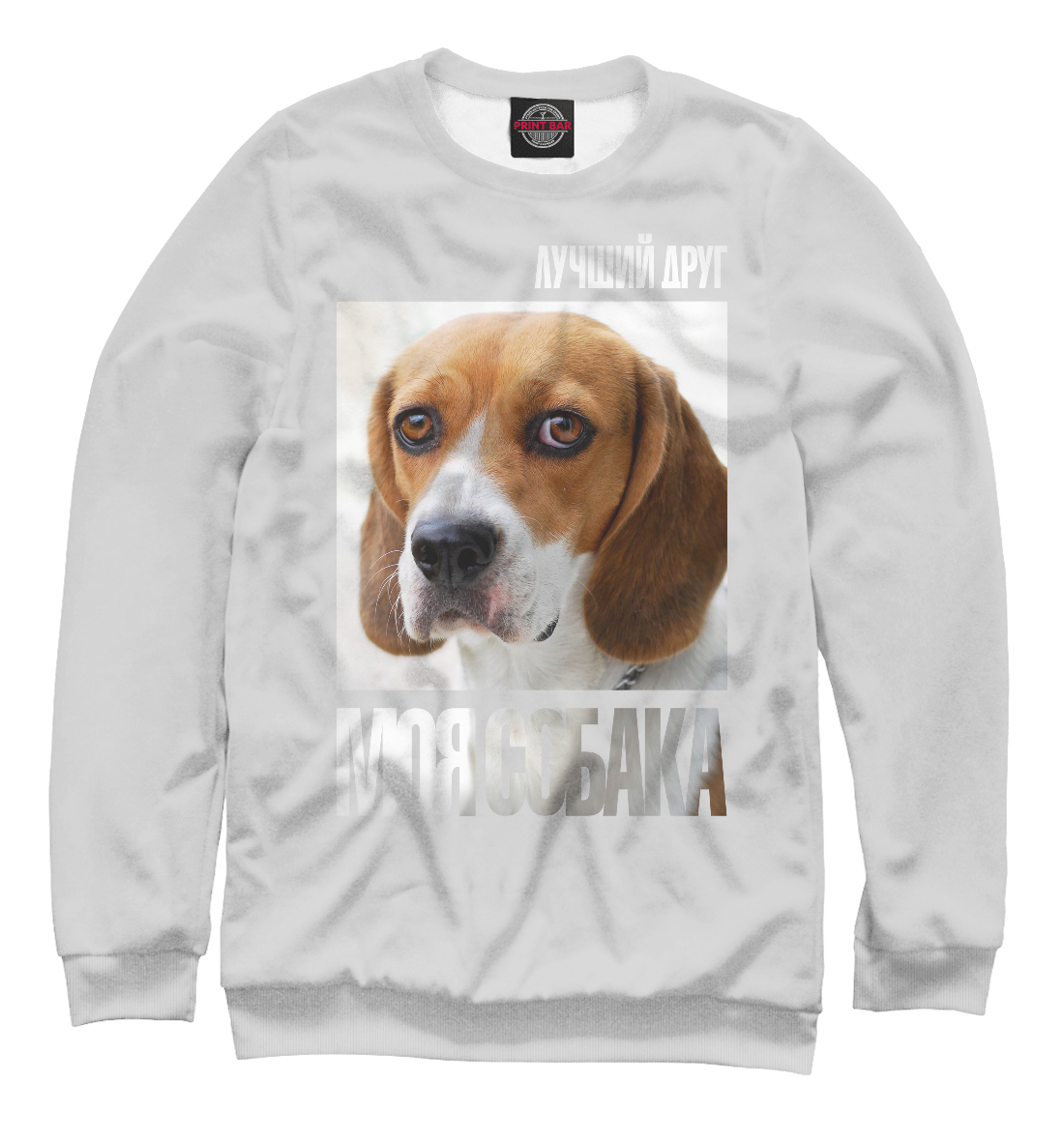 Бигль 
Бигль