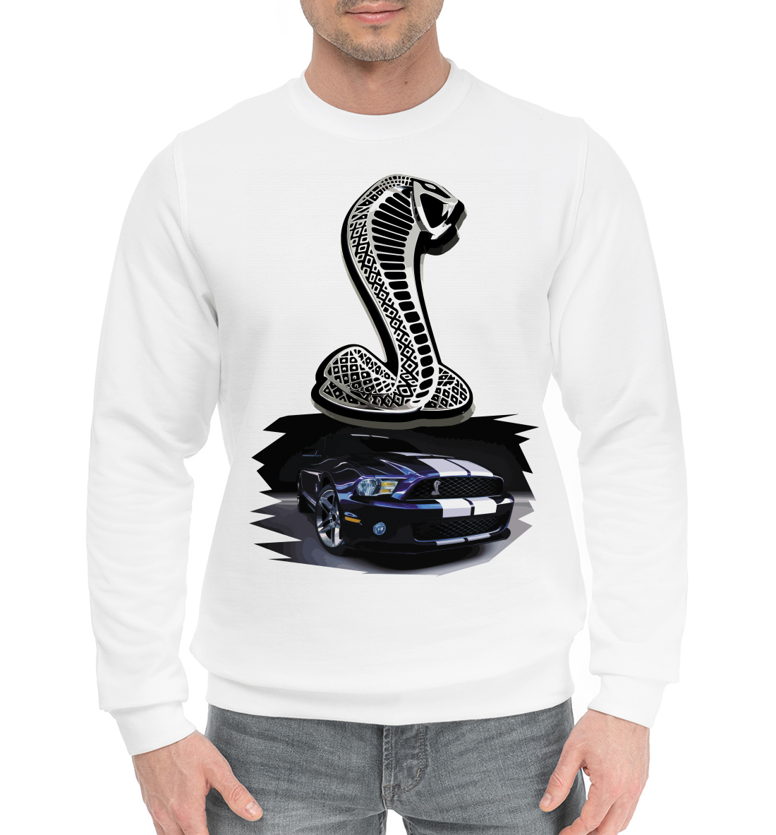 Mustang Shelby 
Mustang Shelby