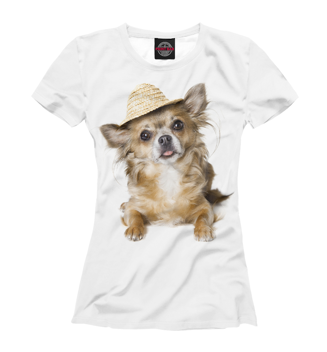 Чихуахуа
Чихуахуа