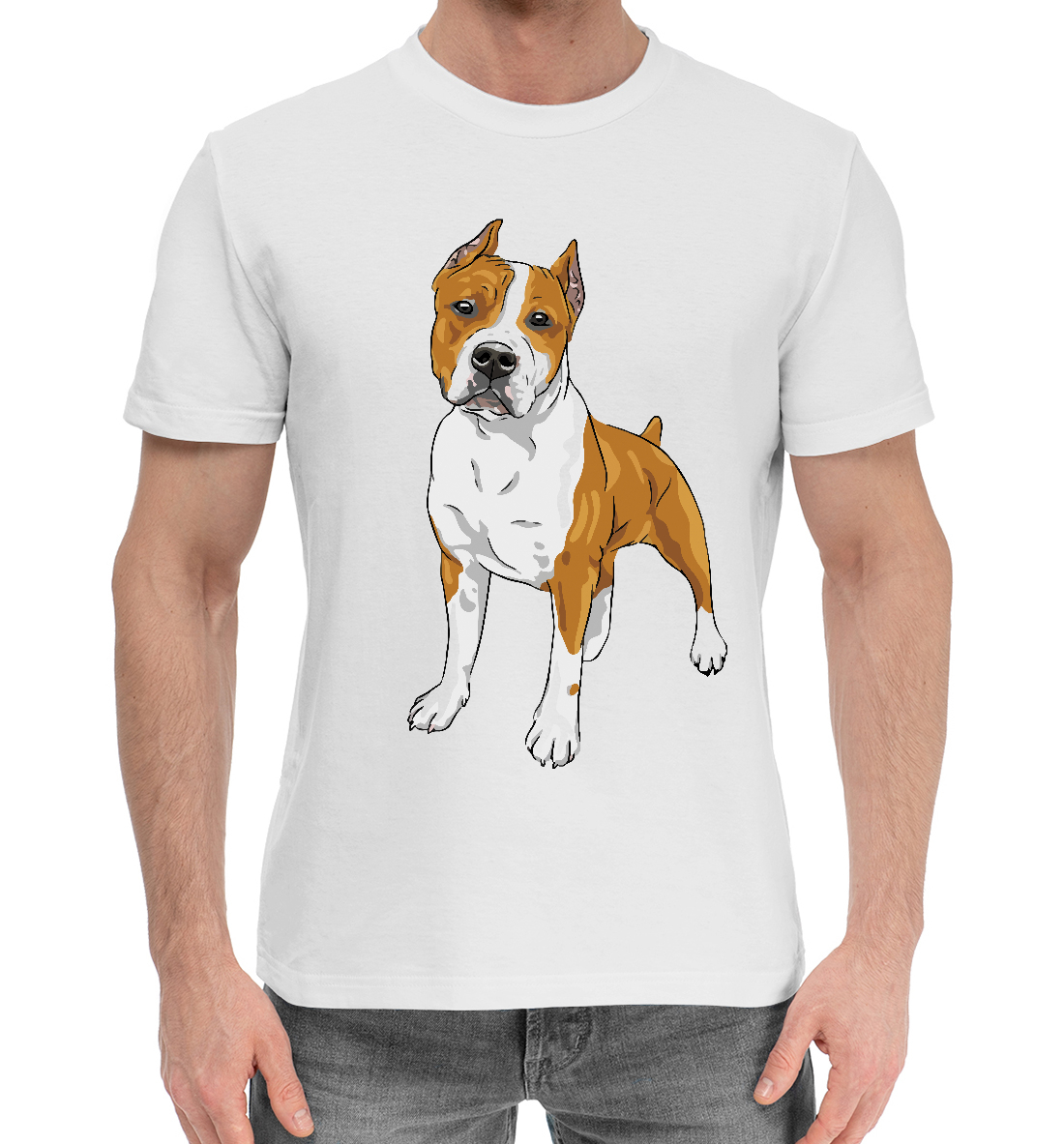 Стаффор 
Стаффор