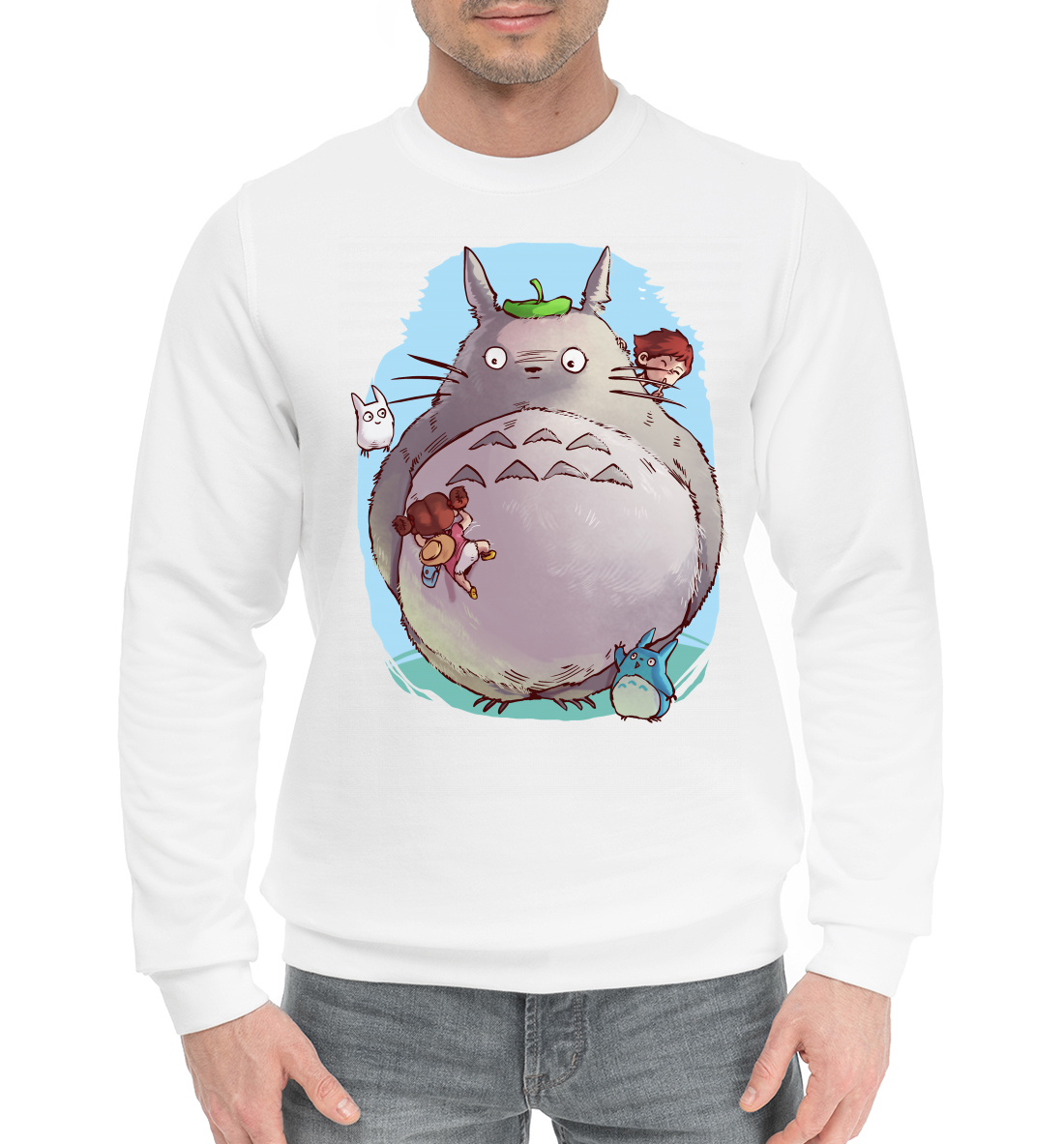 Totoro 
Totoro