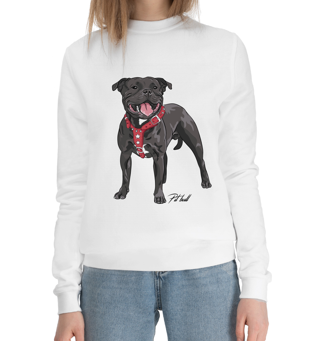 

Fighting pit bull