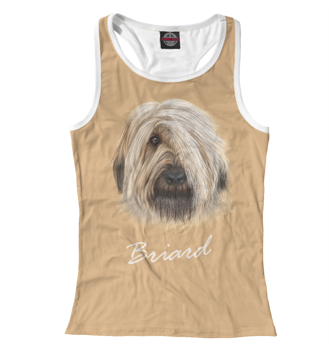 

Briard
