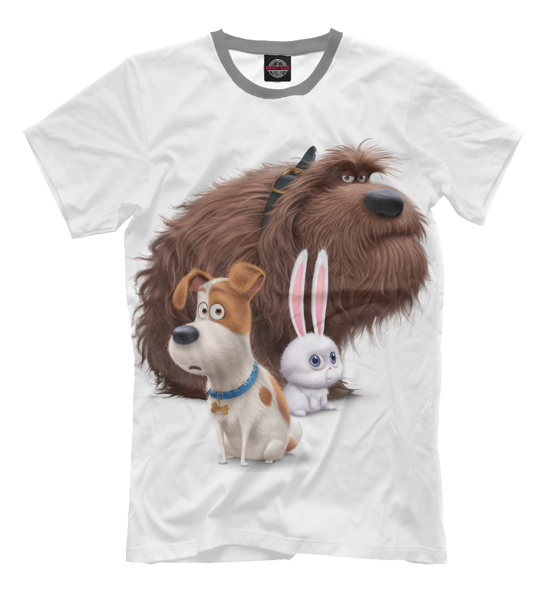 

The Secret Life of Pets