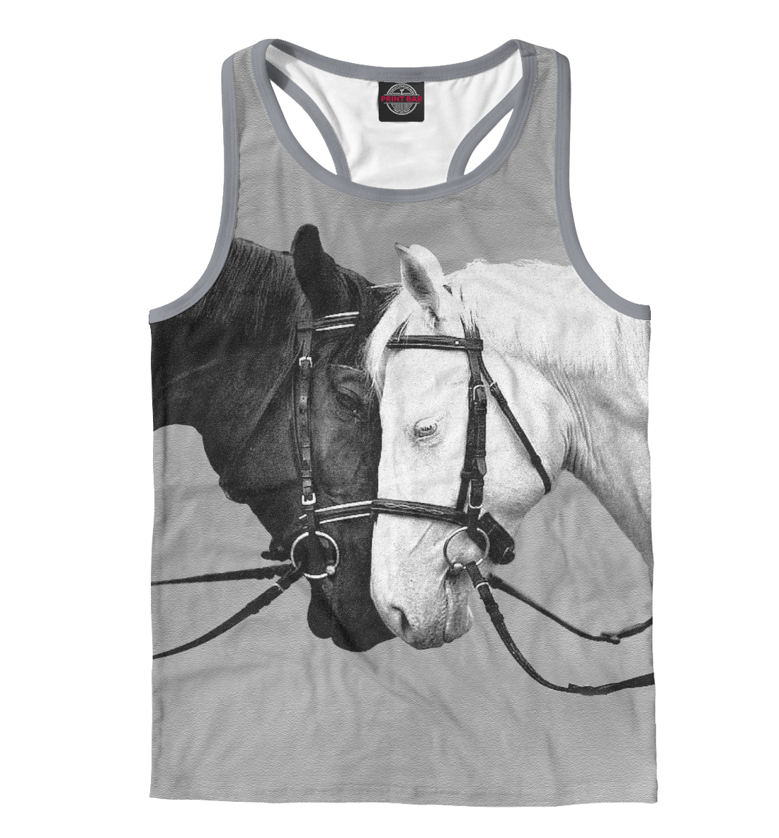 

MAGNIFICENT HORSES