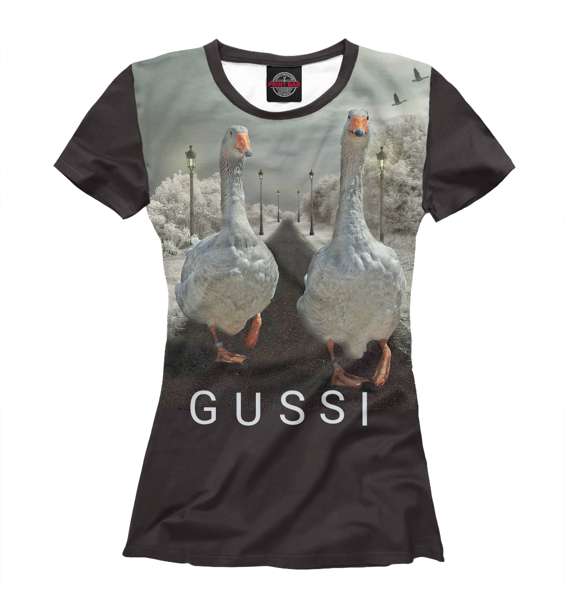 

GUSSI