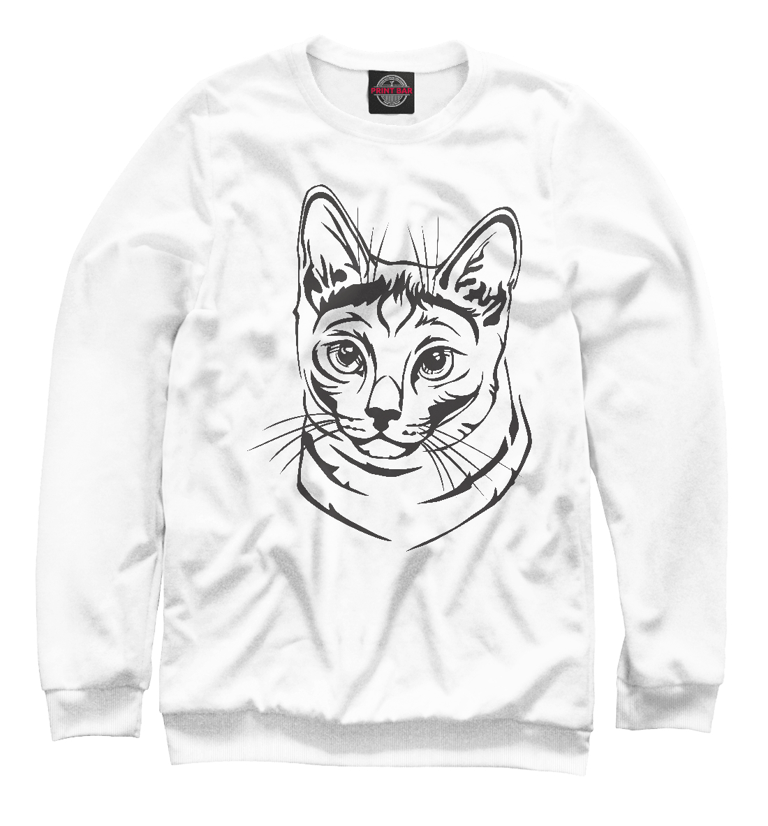 

Русская голубая кошка