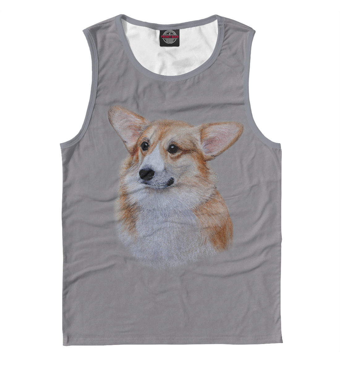 

Corgi dog