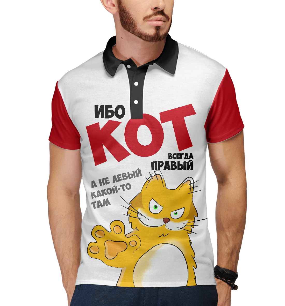 

Кот всегда правый