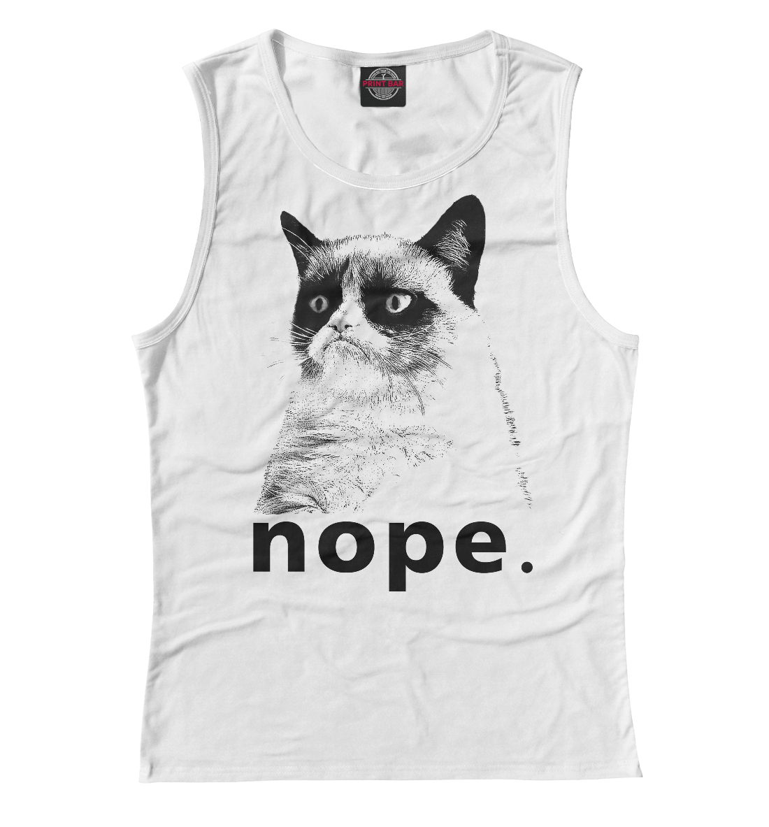 

Angry cat