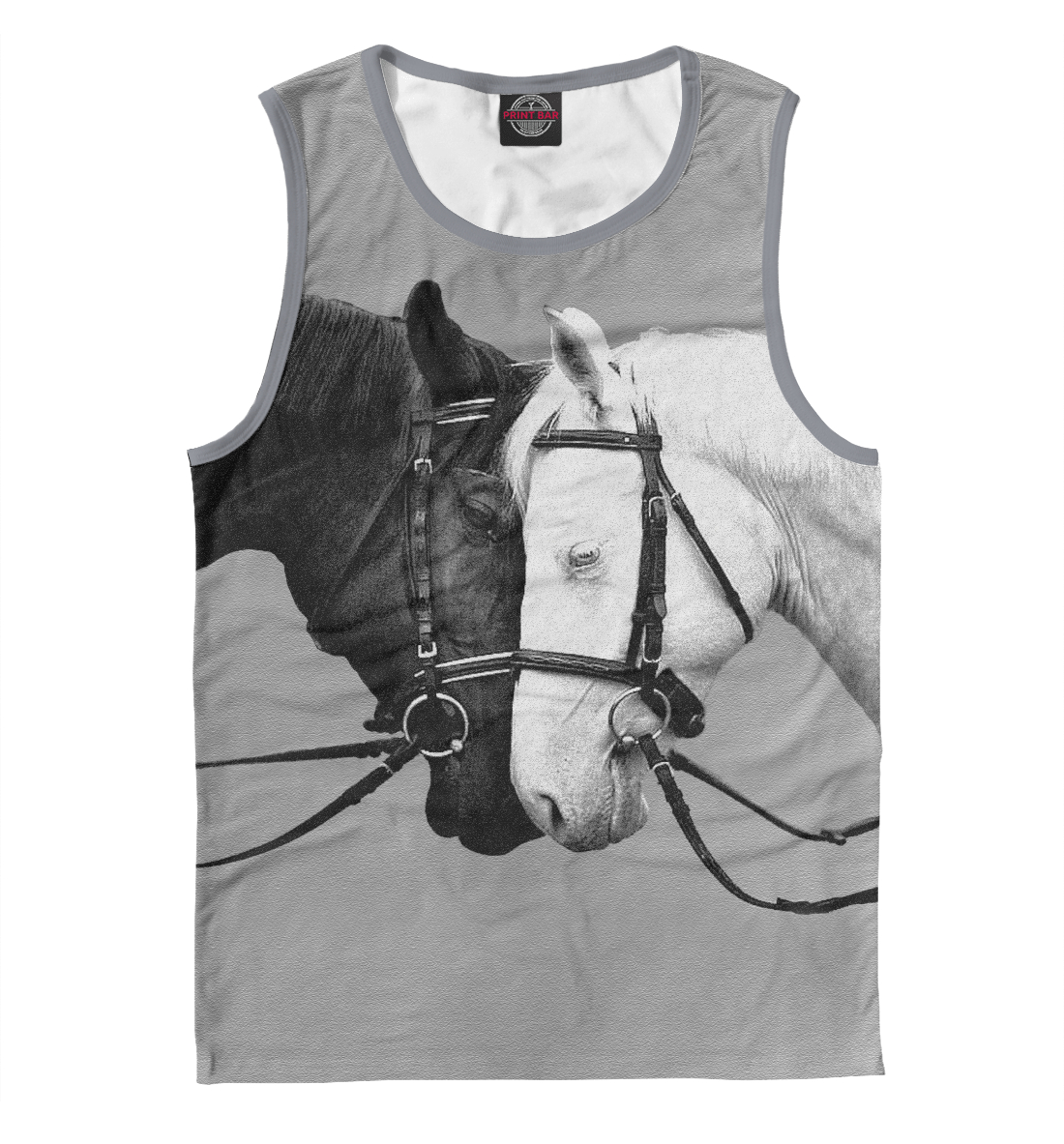 

MAGNIFICENT HORSES