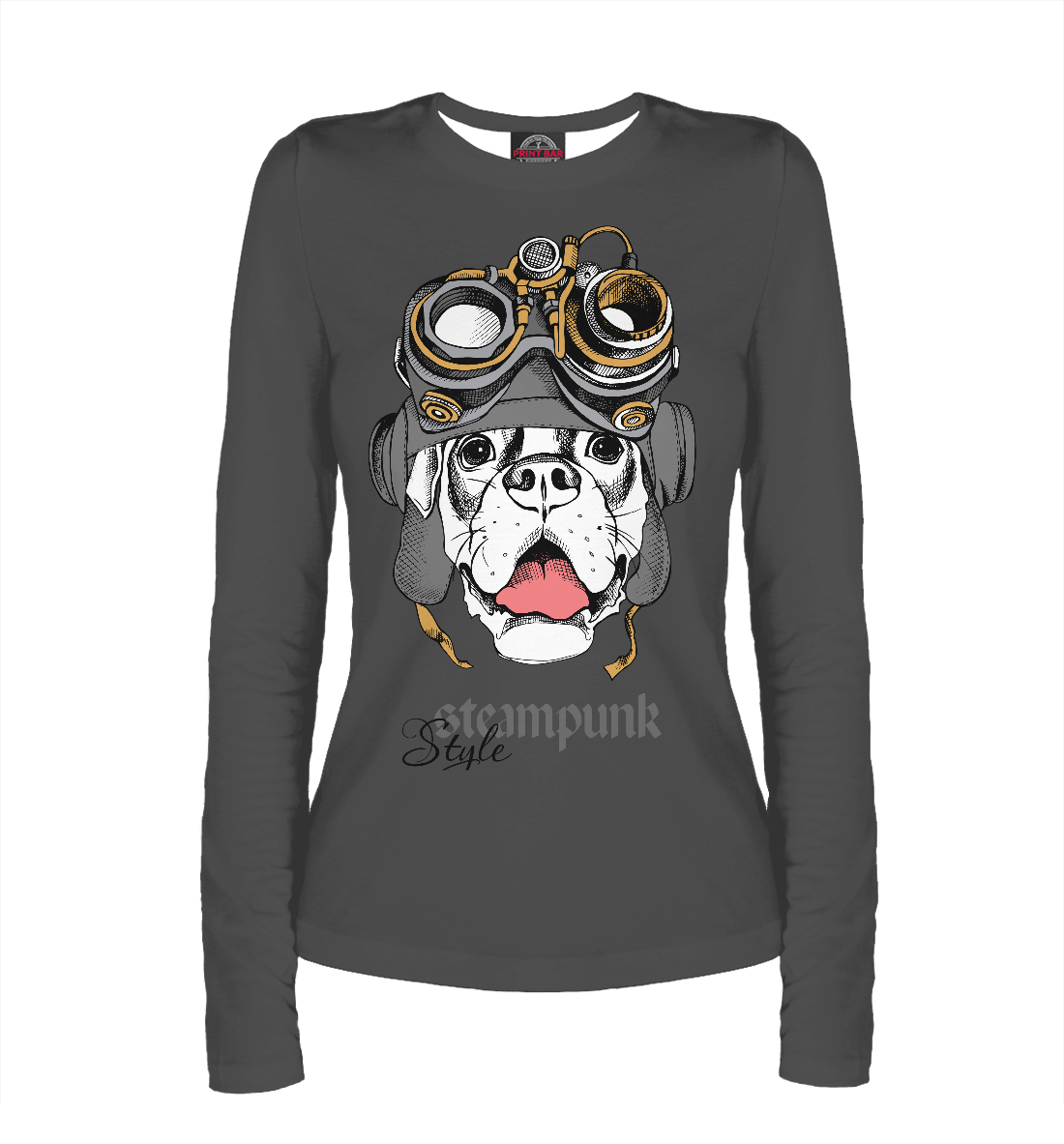 

Steampunk Style