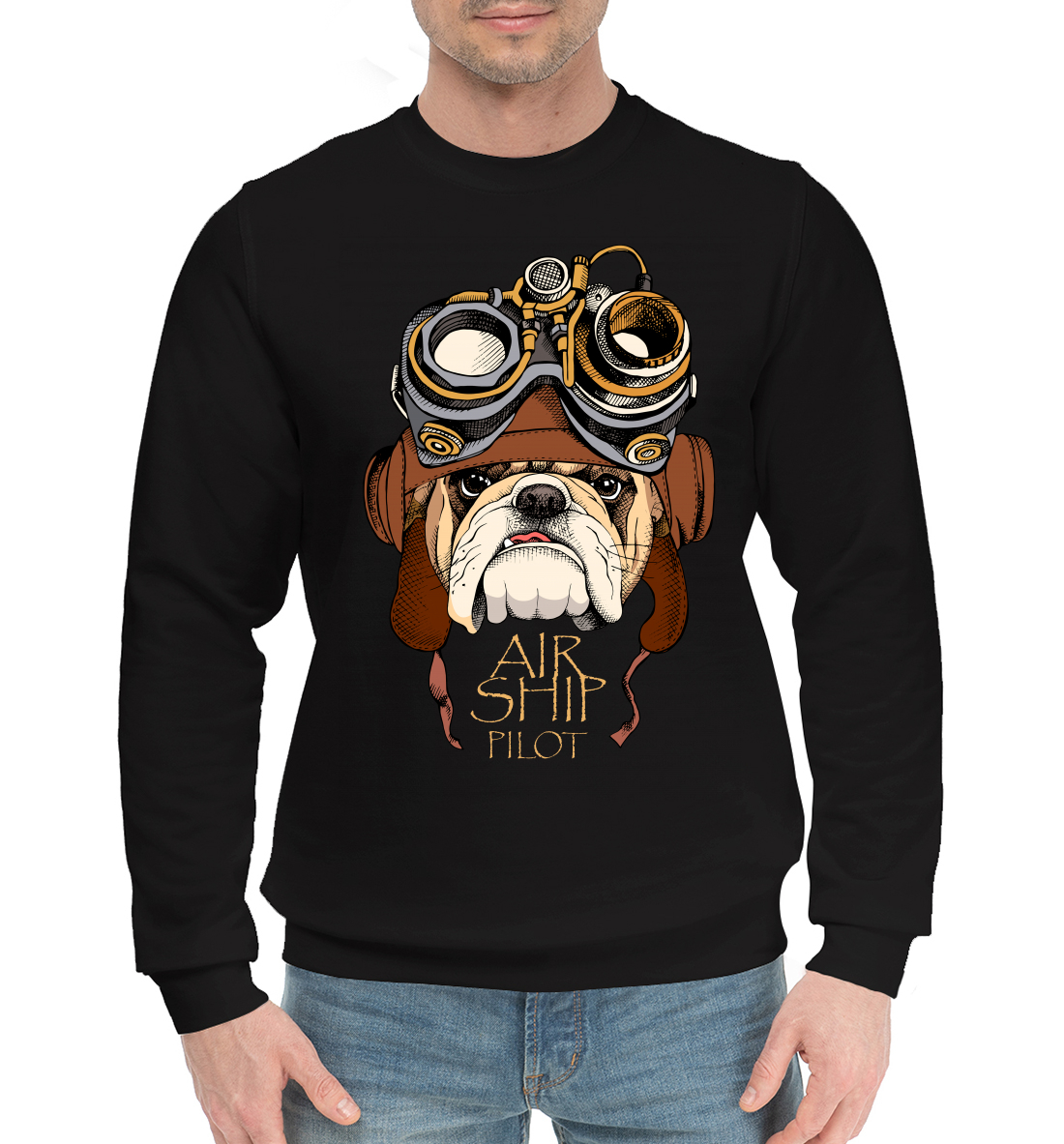 

Air ship pilot
