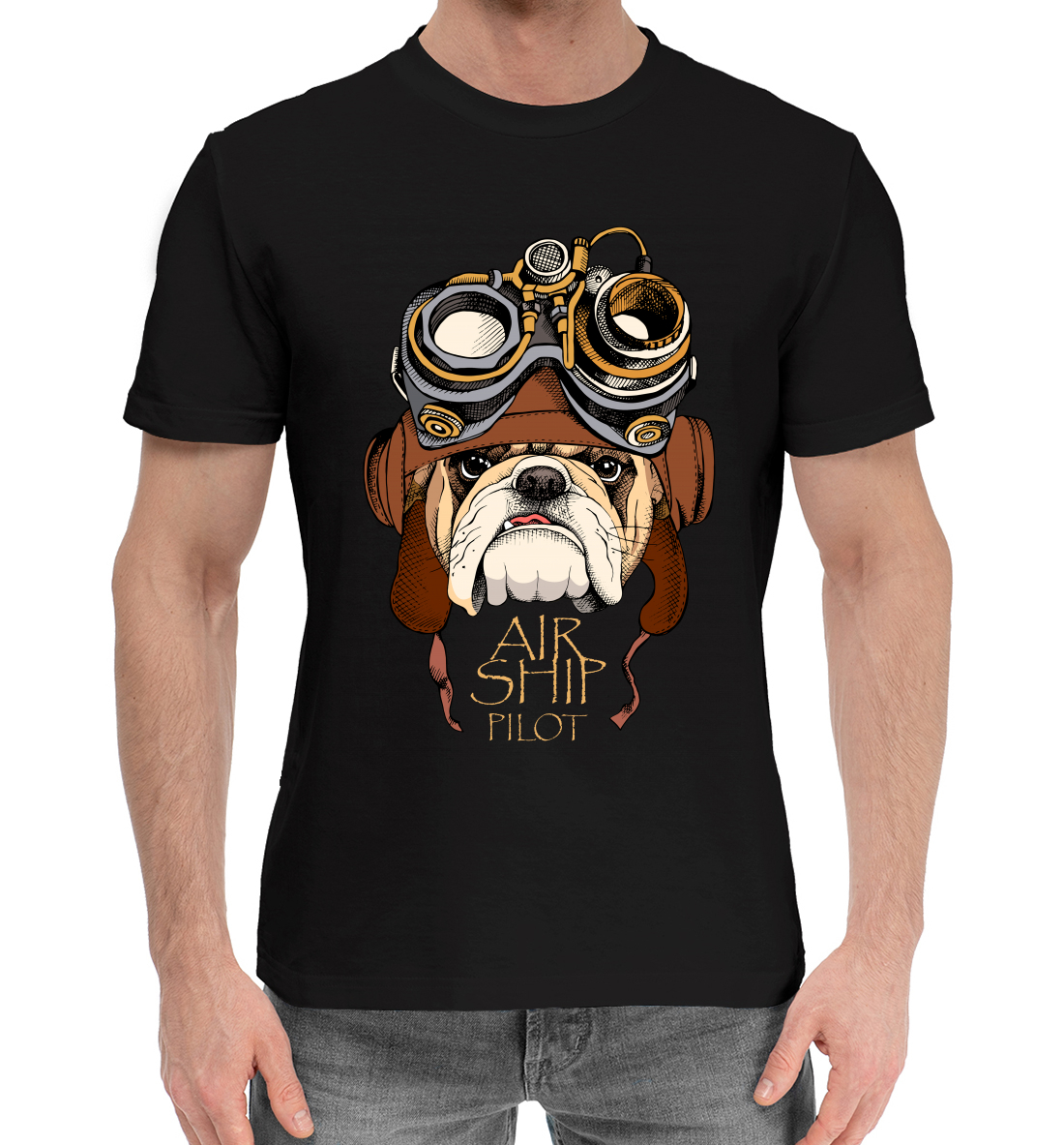 

Air ship pilot