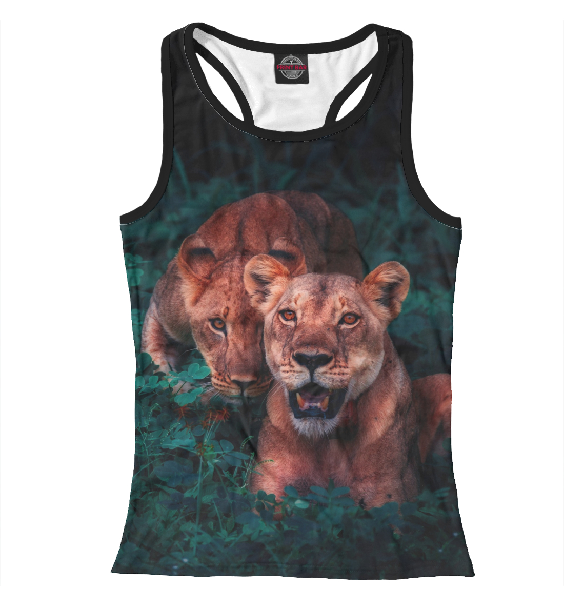 

Lions