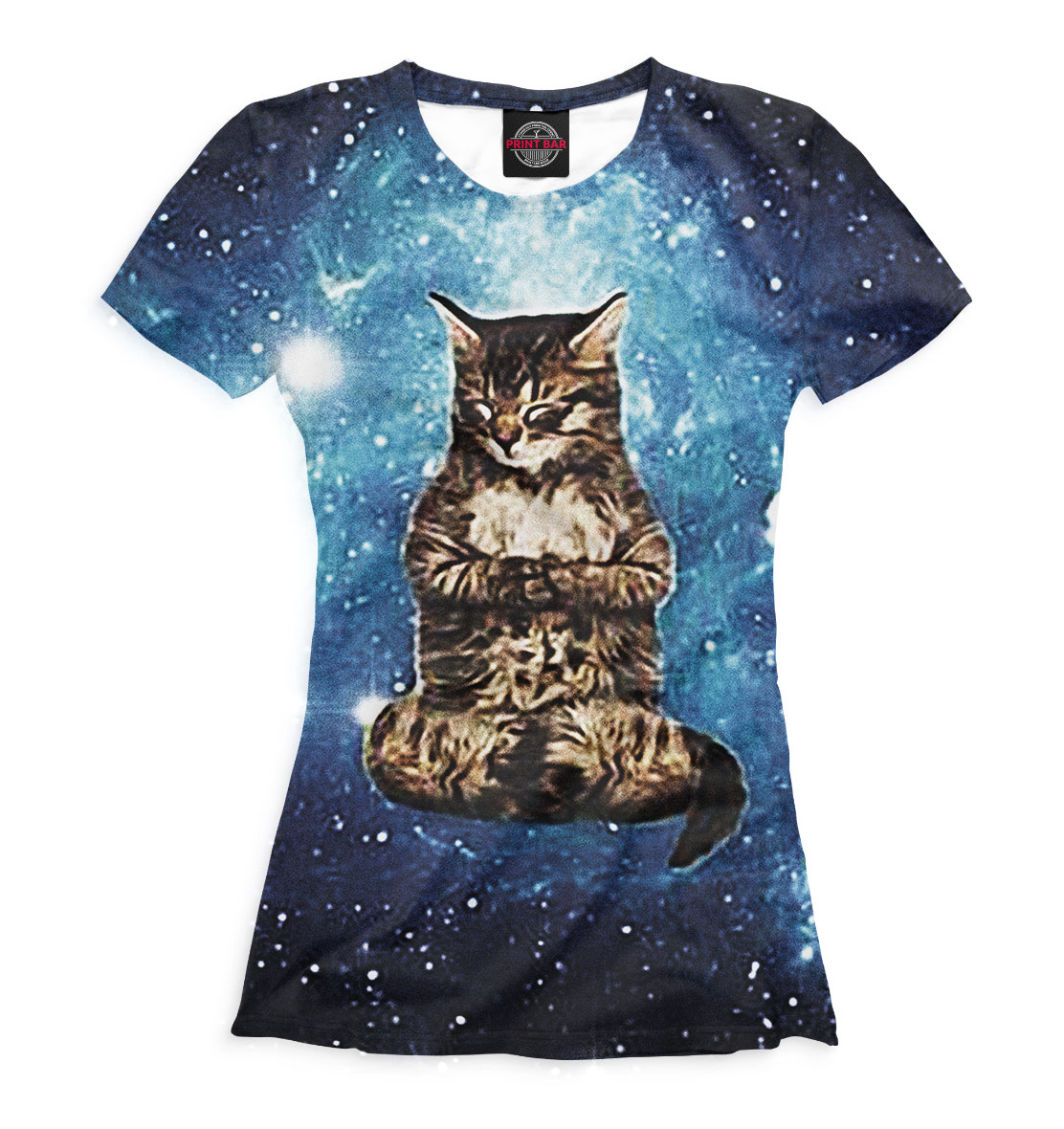 

Кот в космосе