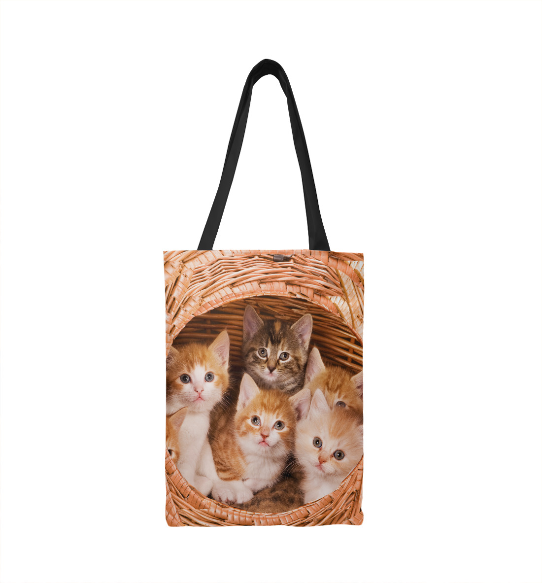 

Котики внутри