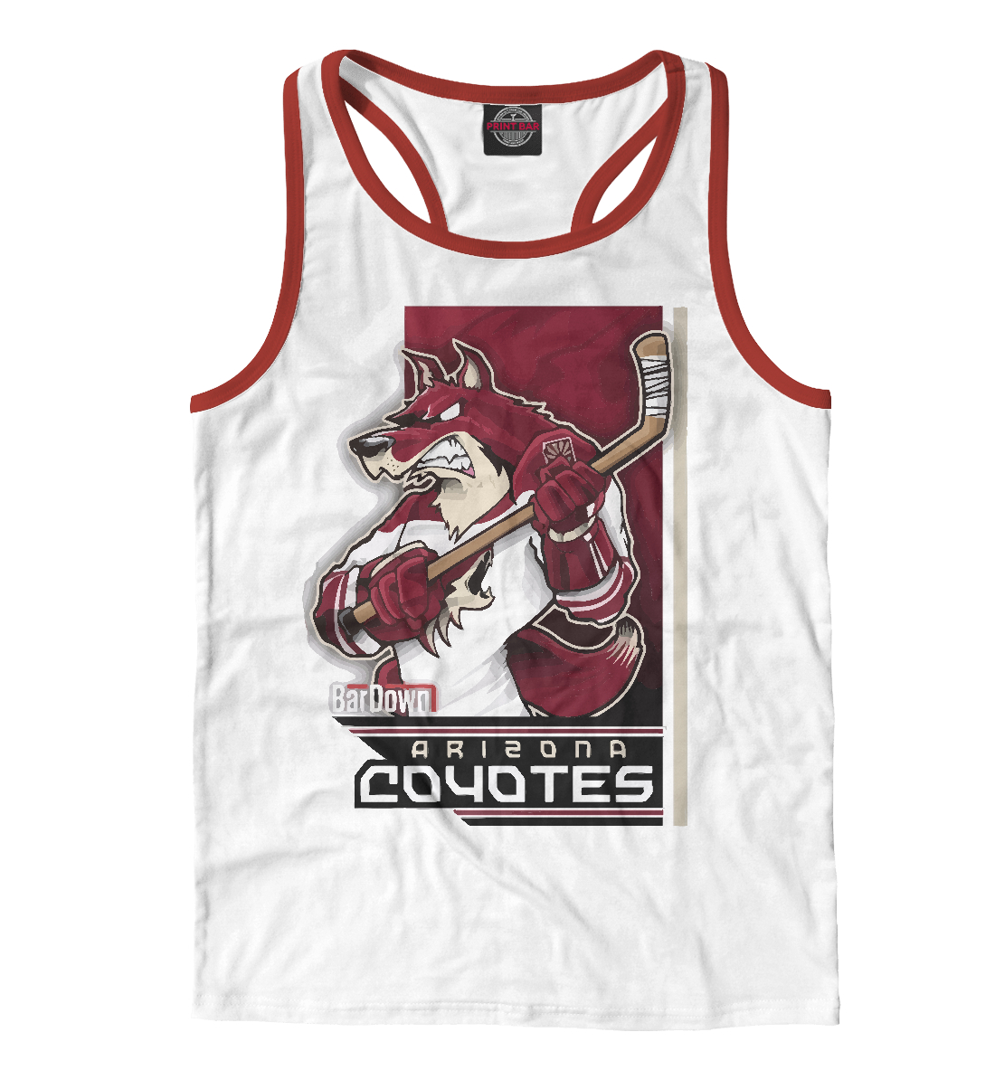 

Arizona Coyotes