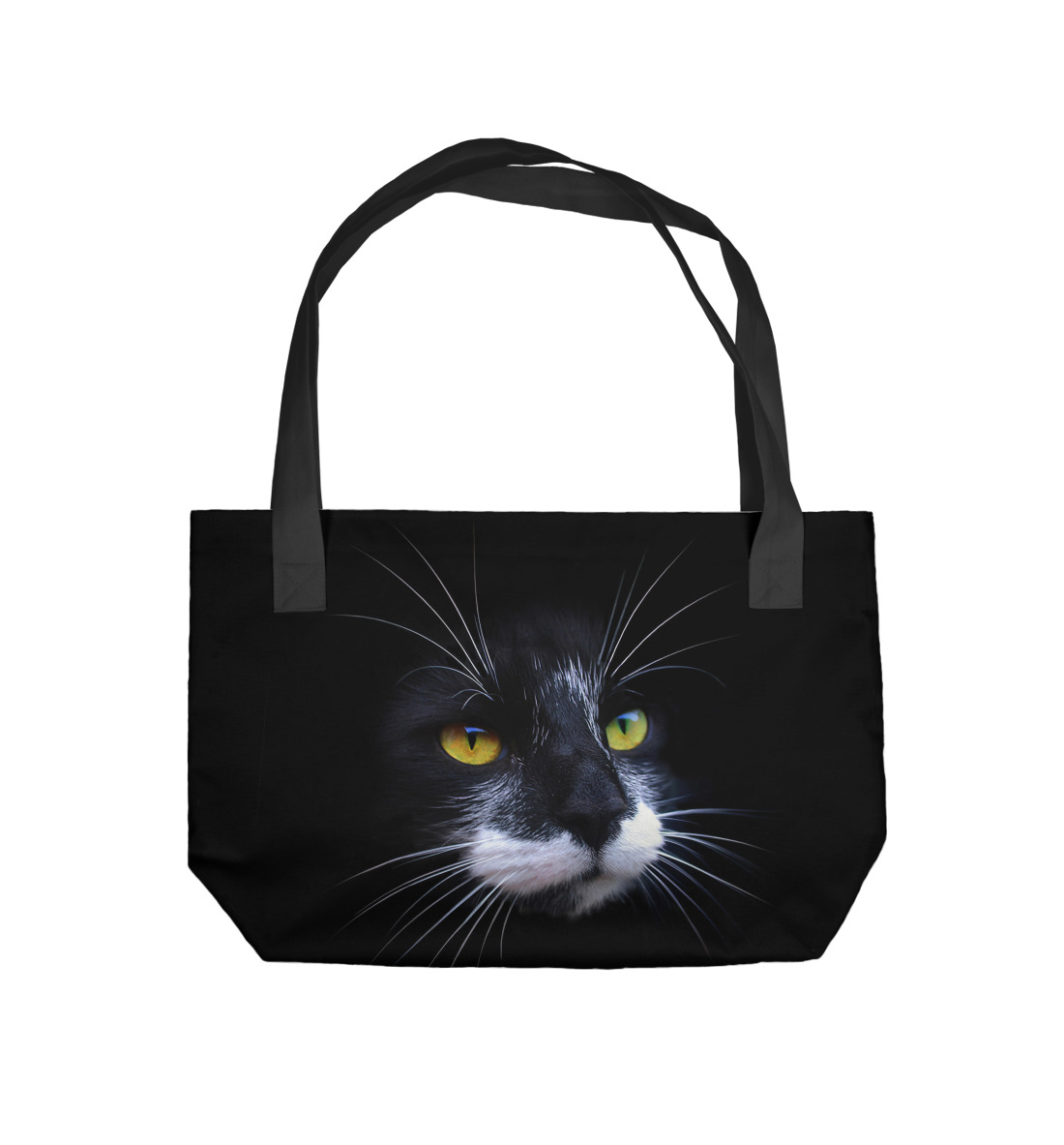 

Black cat