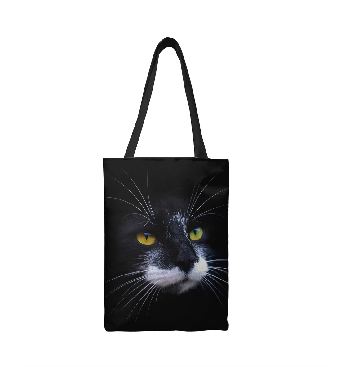 

Black cat