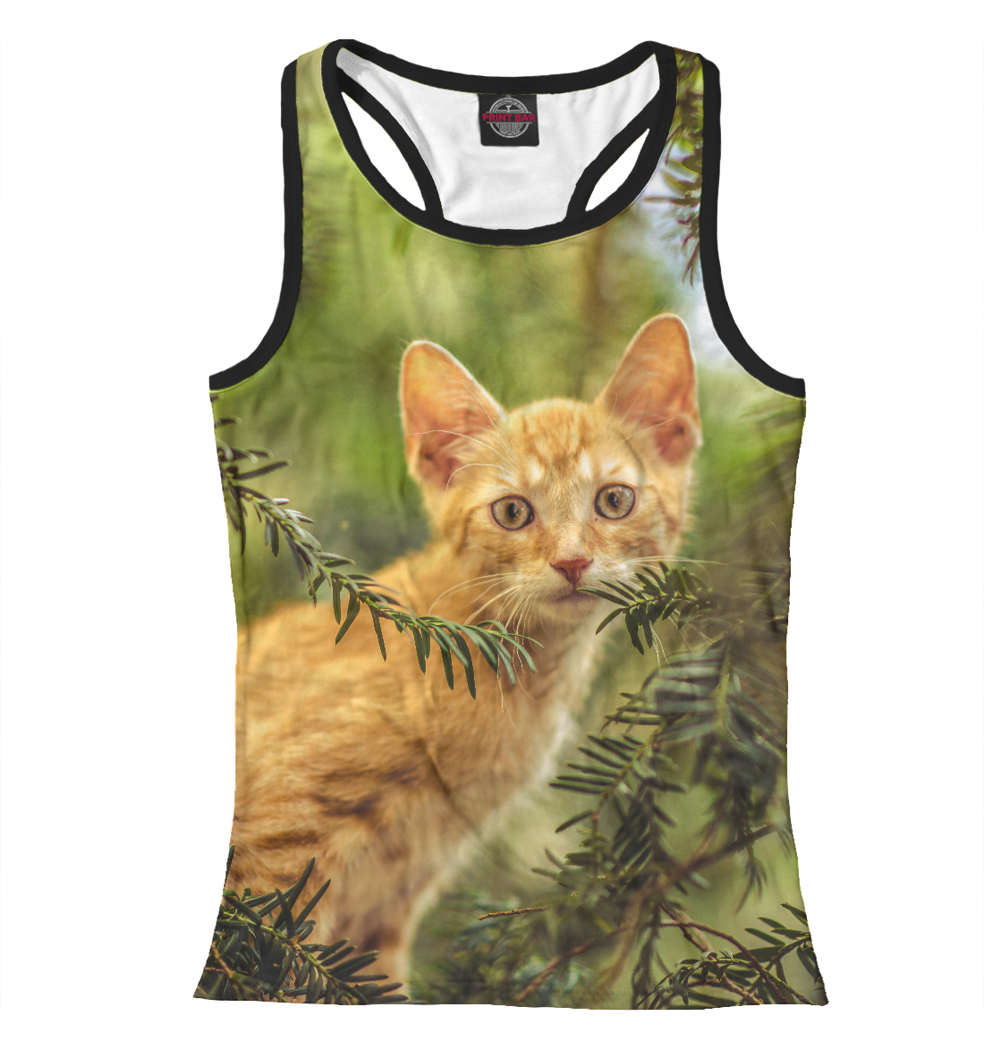 

Red cat