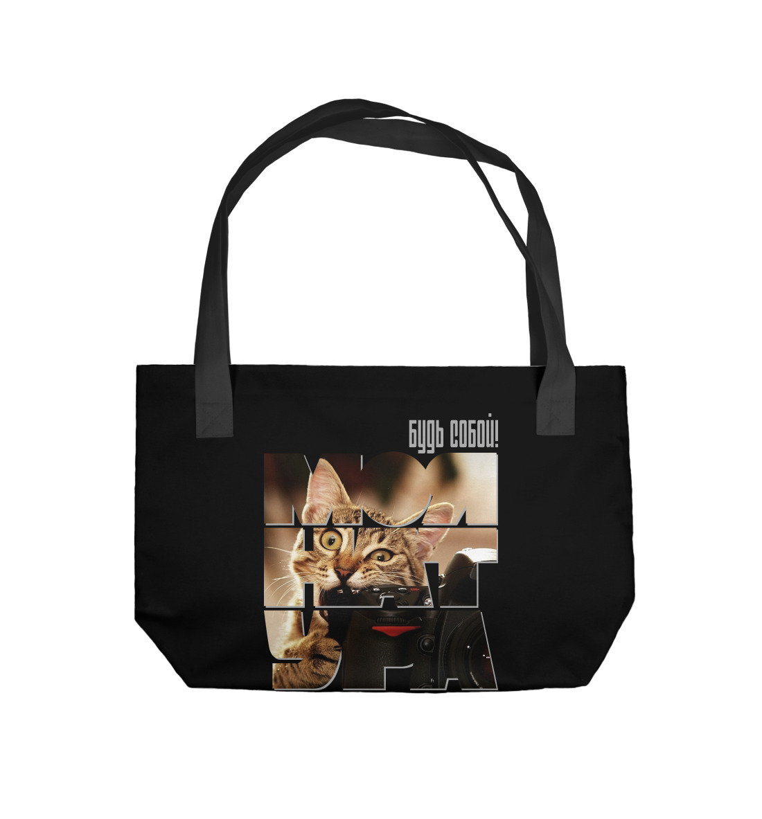 

Кот с фотоаппаратом