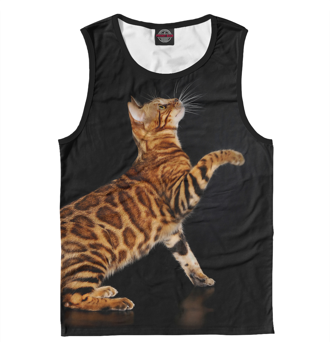 

Леопардовый кот