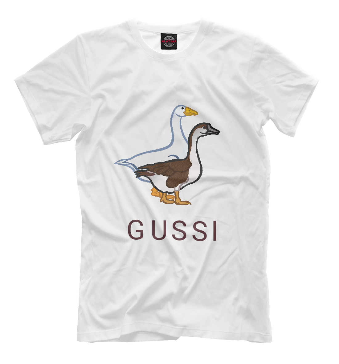 

GUSSI