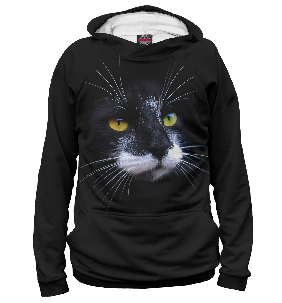 

Black cat