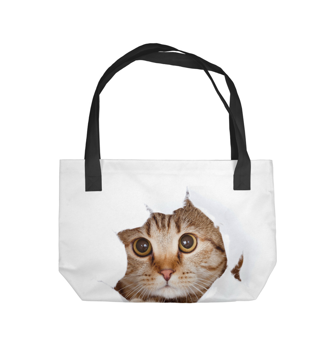 

Котёнок