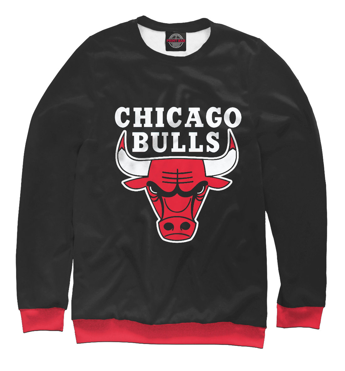 

CHICAGO BULLS