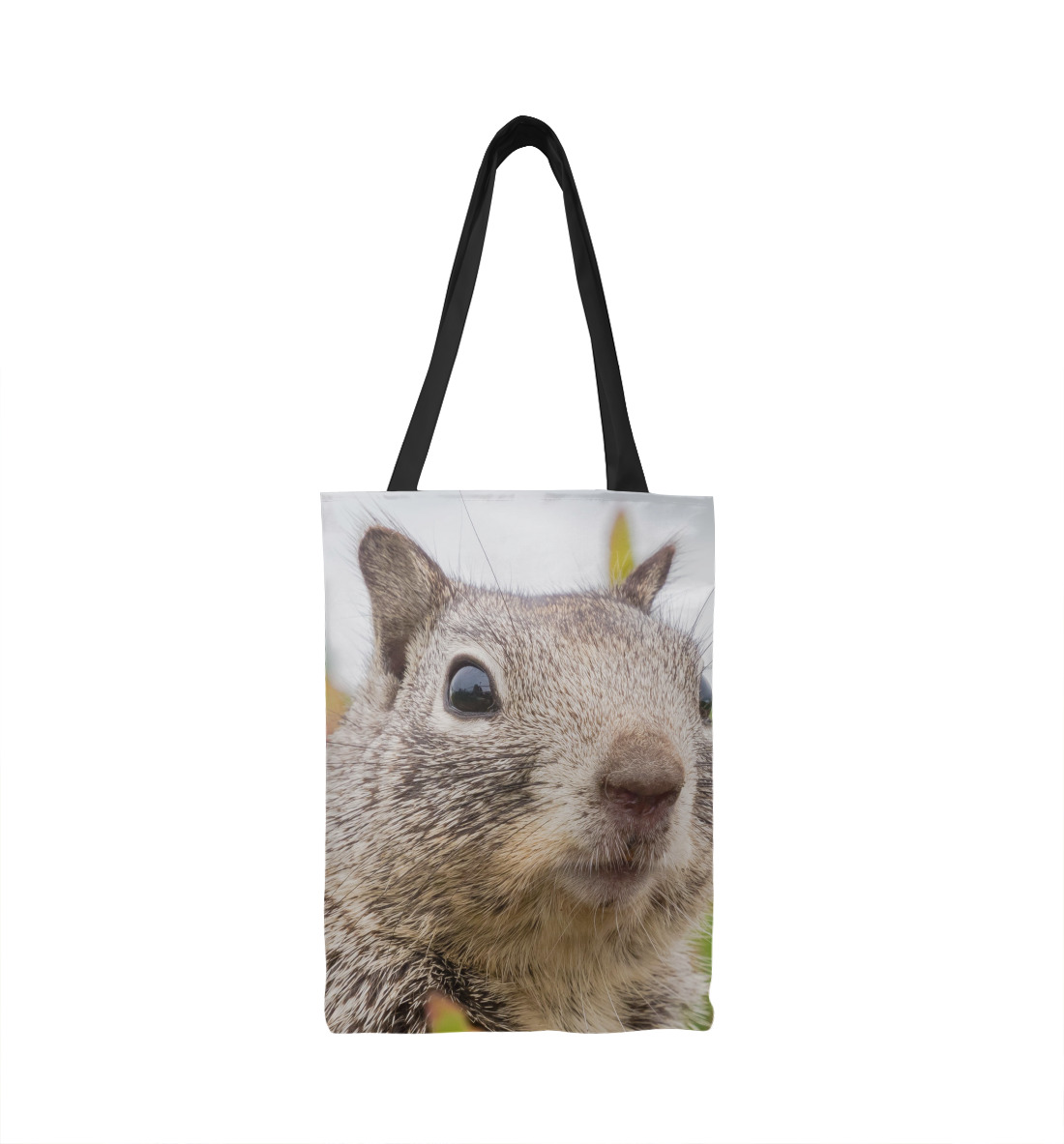 

Белка