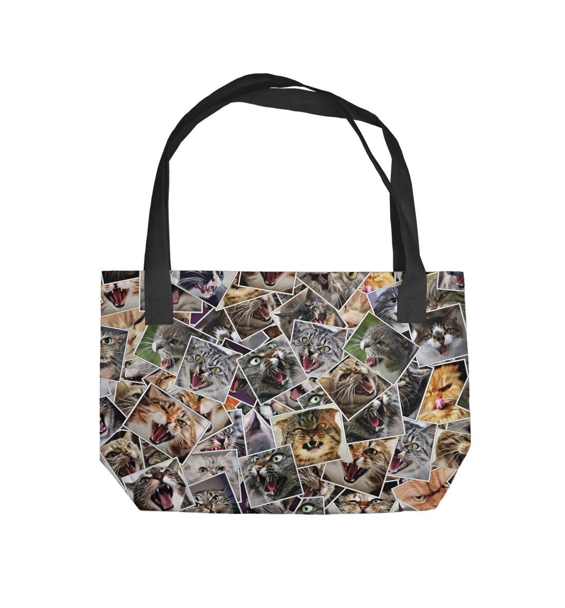 

Агрессивные коты