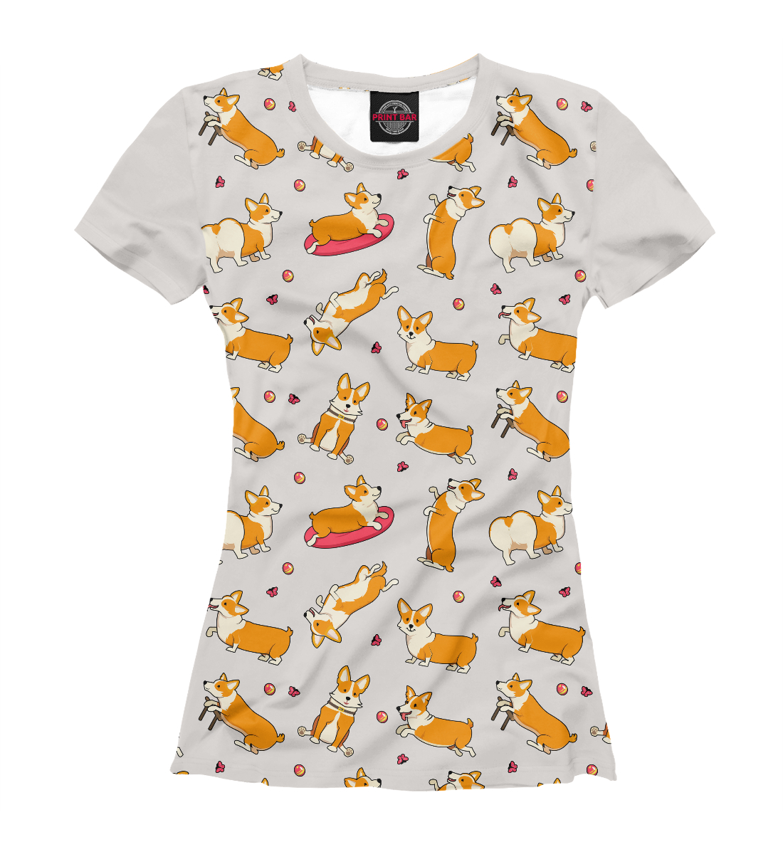

Funny corgi